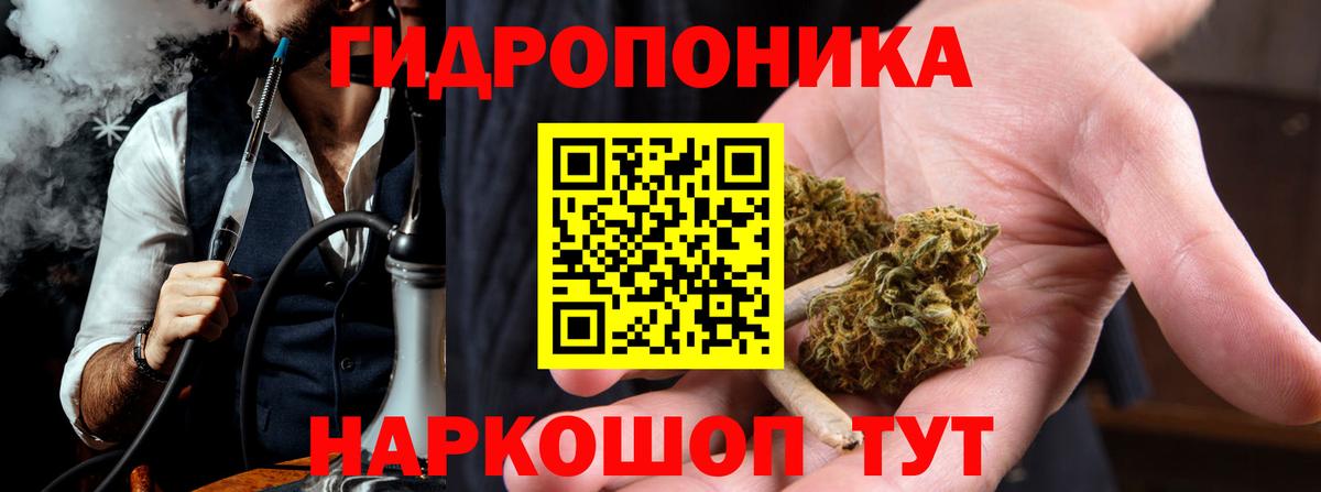 МАРИХУАНА сатива Сегежа